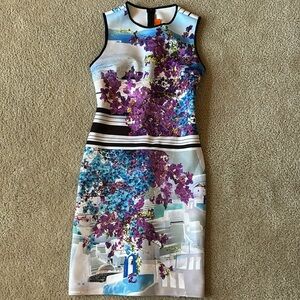 clover canyon dress
